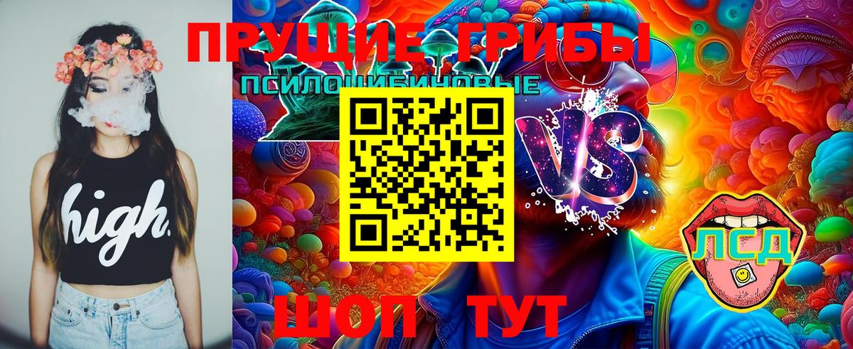 Псилоцибиновые грибы мицелий Новодвинск