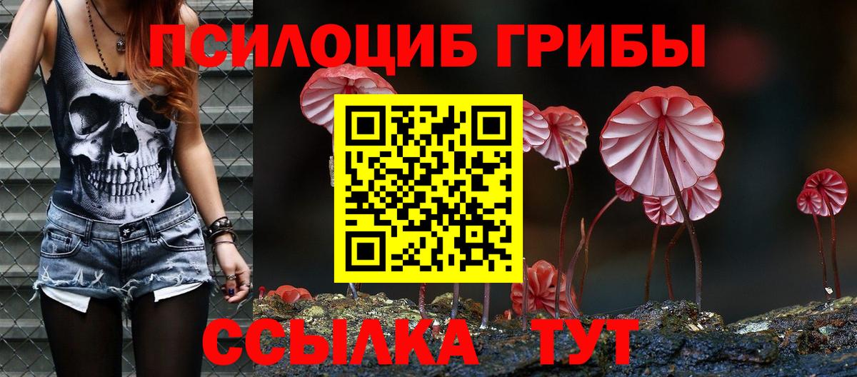 Галлюциногенные грибы MAGIC MUSHROOMS  Вход с VPN  Новодвинск 